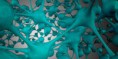 /album/abstraktni-3d-grafika/a3d-abstaction-of-neurons-jpg/